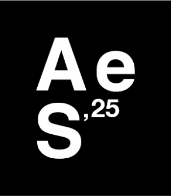Art Emergent Sabadell